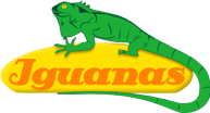Hotel Iguanas