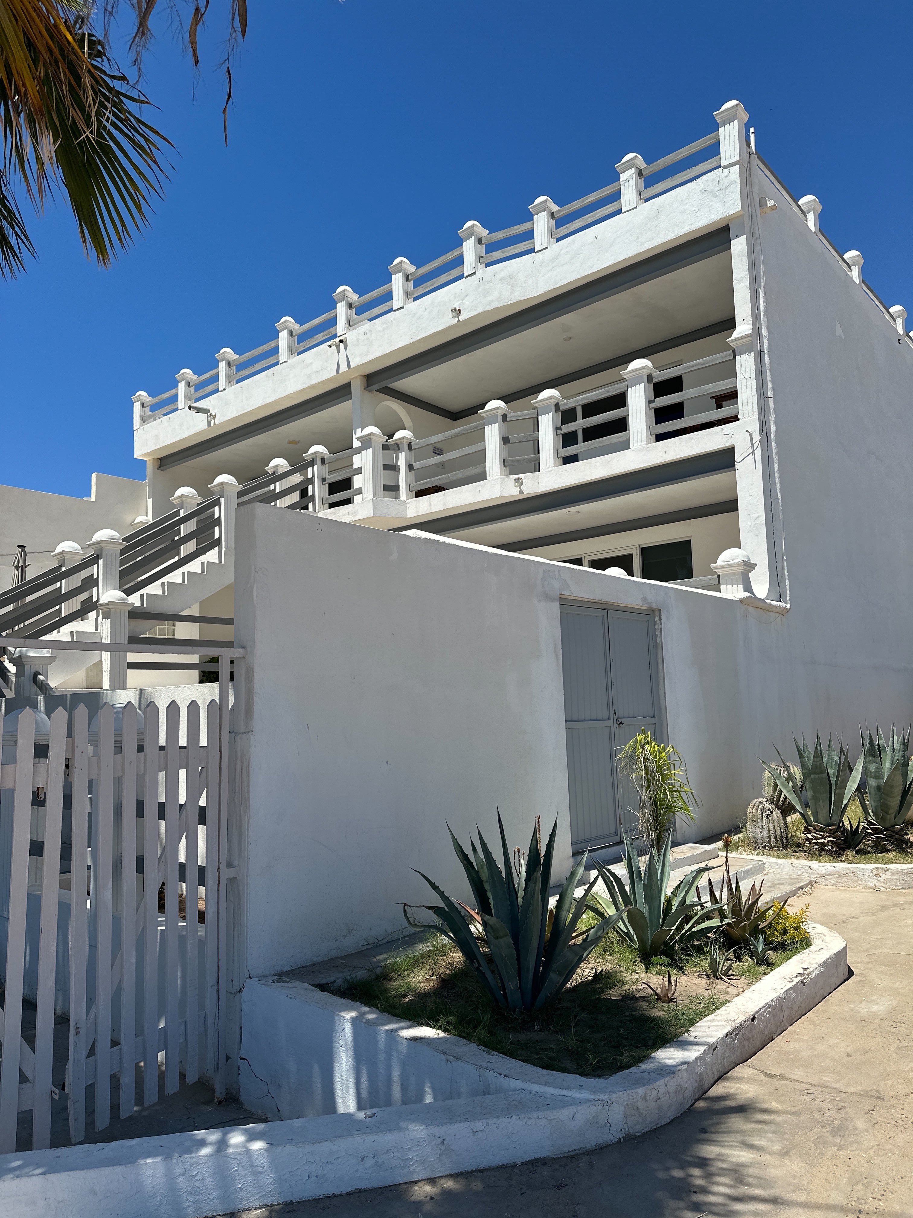 Edificio de Iguanas Kino